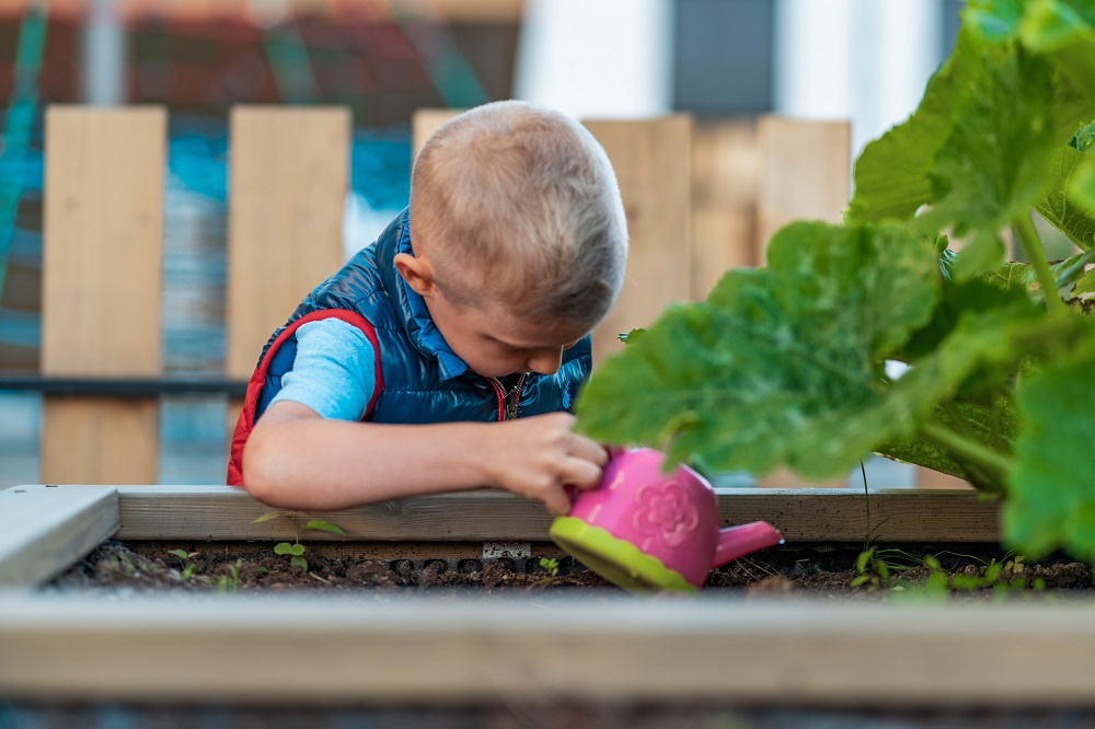 Компонент «Флорикультура». В одном из домов LEGENDA жителей приобщают к садоводству, предлагая им возделывать особый городской огород на территории ЖК