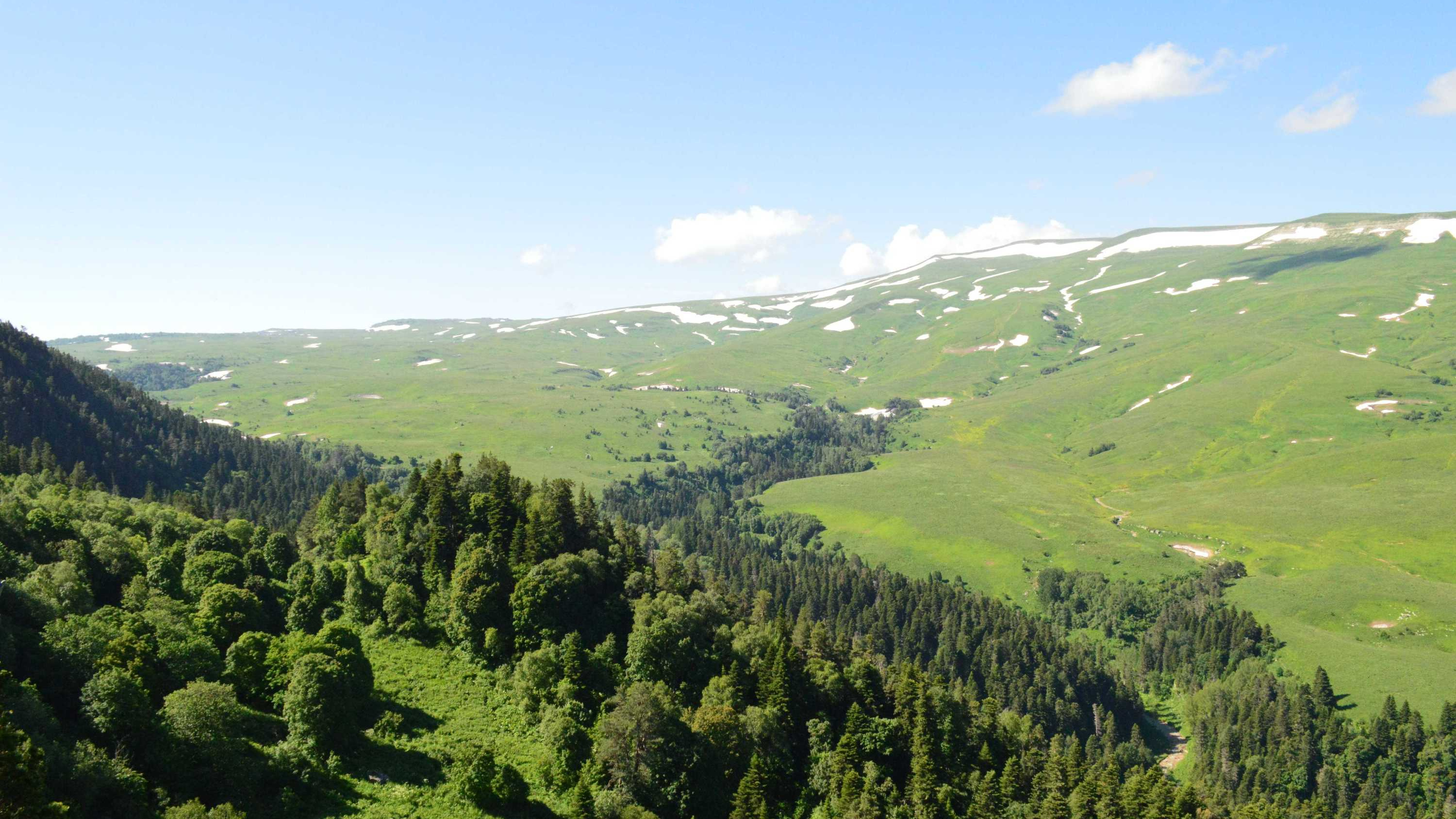 Экологи узнали о планах по уничтожению десятков гектаров лесов и лугов в Кавказском заповеднике для строительства горнолыжного курорта