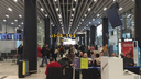 В аэропорту Новосибирска застряли 440 человек — их рейс в Таиланд задержали на 6 часов