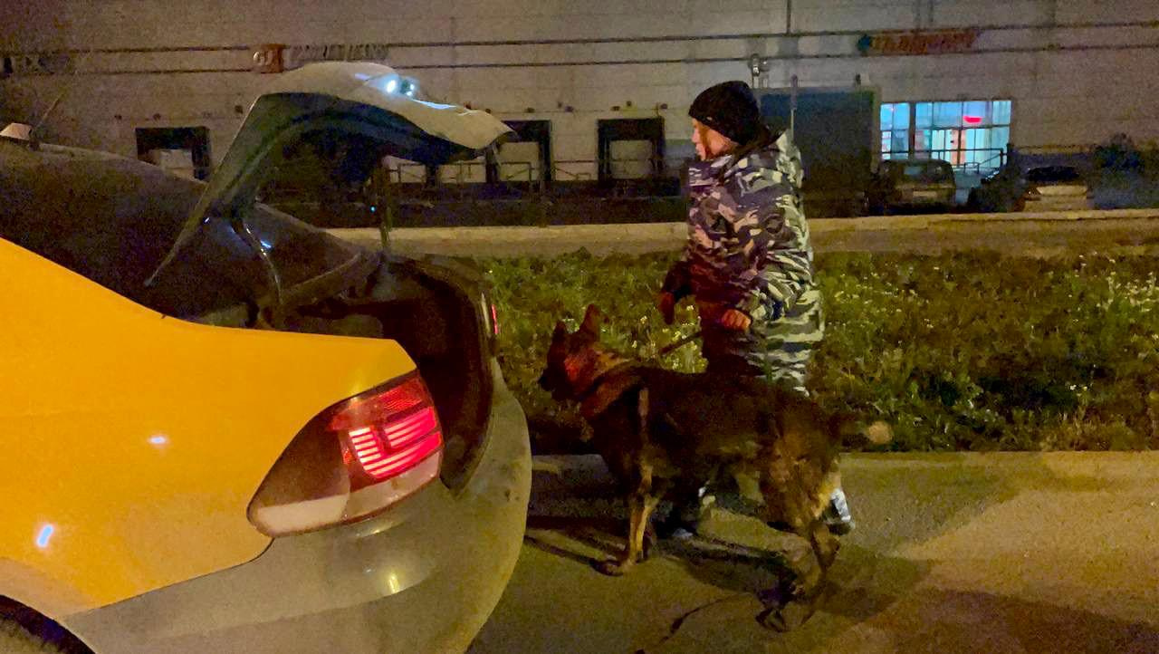 Улицы Екатеринбурга заполнили полицейские с собаками. Что происходит