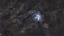 «Облака, в которых формируется звезда»: яркую туманность снял новосибирский астрофотограф