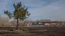 Власти Челябинска показали, где будет кладбище «Успенское-2»
