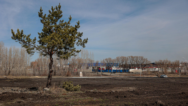 Власти Челябинска показали, где будет кладбище «Успенское-2»