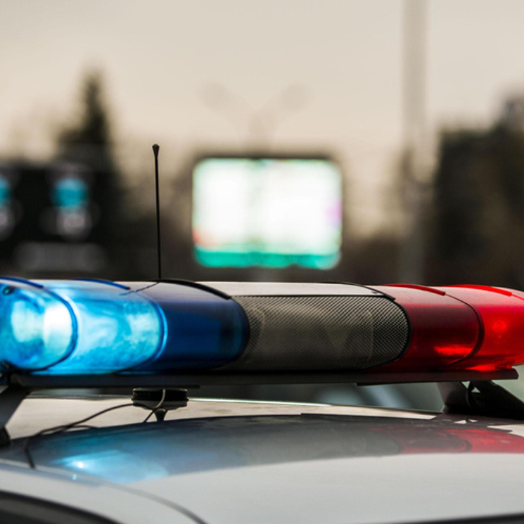 Ngsru новосибирск