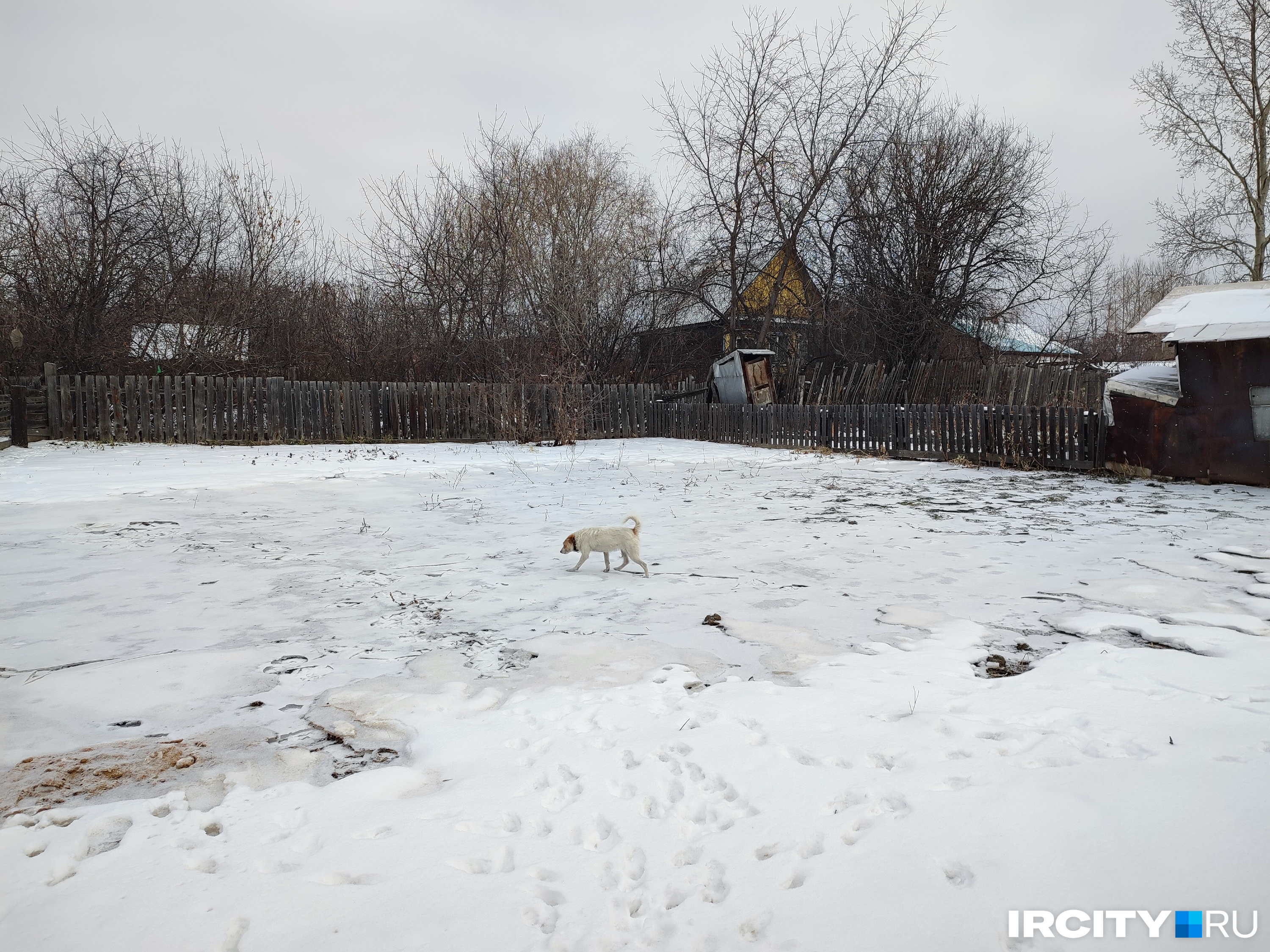 Теперь тут осталась лишь корочка льда, по которой как ни в чем не бывало скачет соседская собака Белка Теперь тут осталась лишь корочка льда, по которой как ни в чем не бывало скачет соседская собака Белка