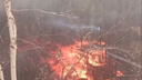 «Виновных сейчас ищут»: во дворе на улице Маркса в Кургане загорелась детская горка