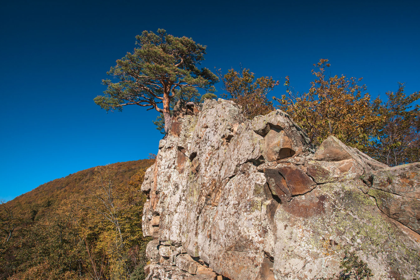 Красные скалы Планческая щель