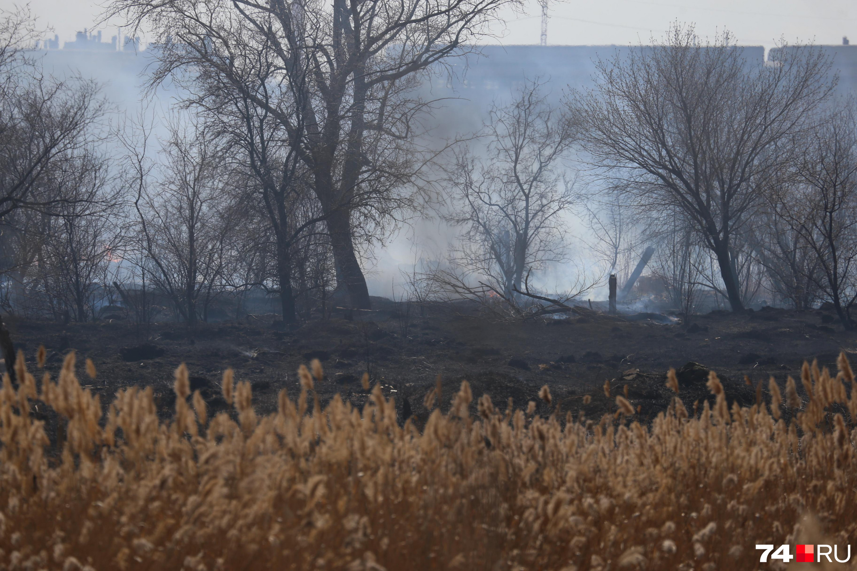 Из-за частых пожаров в Омской области ввели режим ЧС