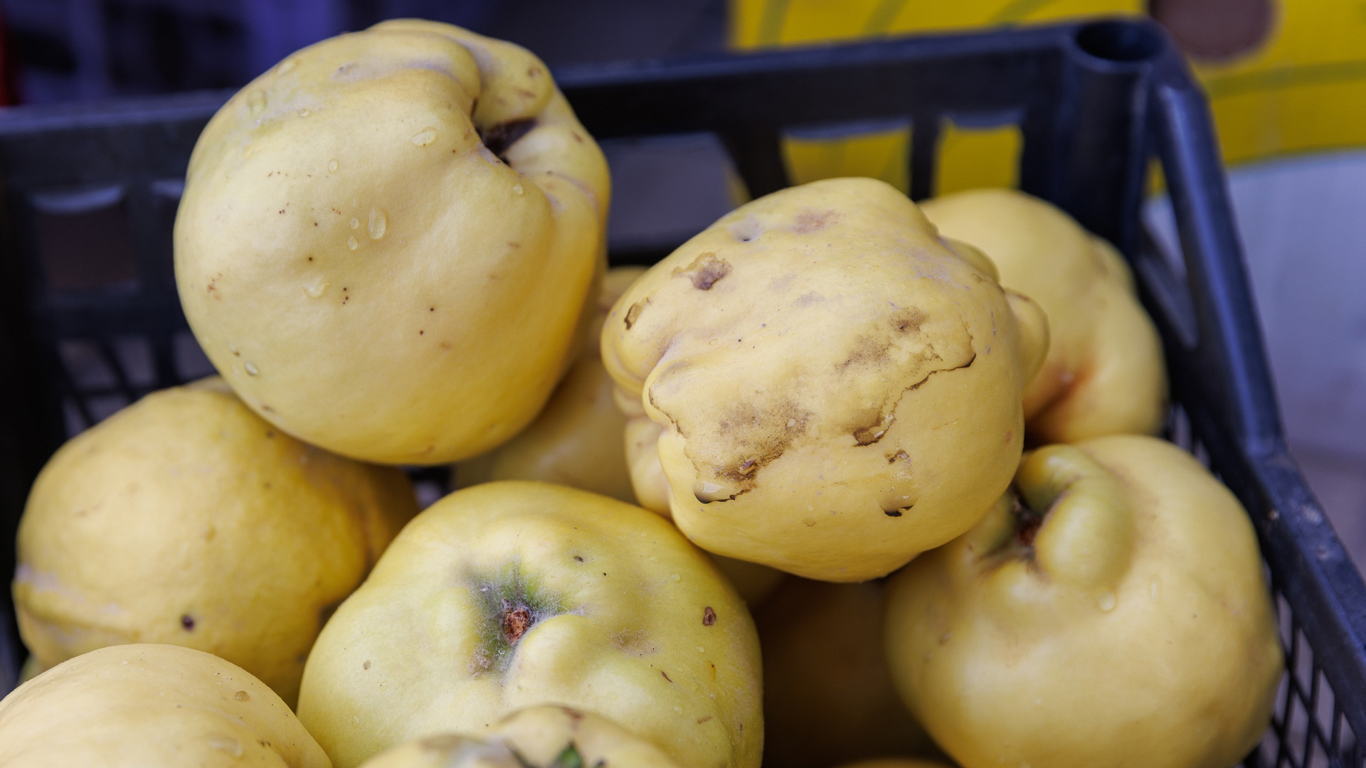 На рынках Волгограда появилось «японское яблоко»: что это такое, как выбирать и что из него можно приготовить
