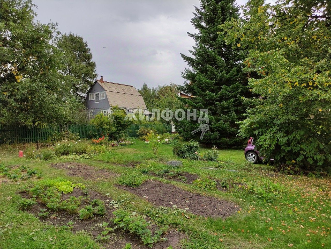 Роща — примерно в 200–300 метрах от дома