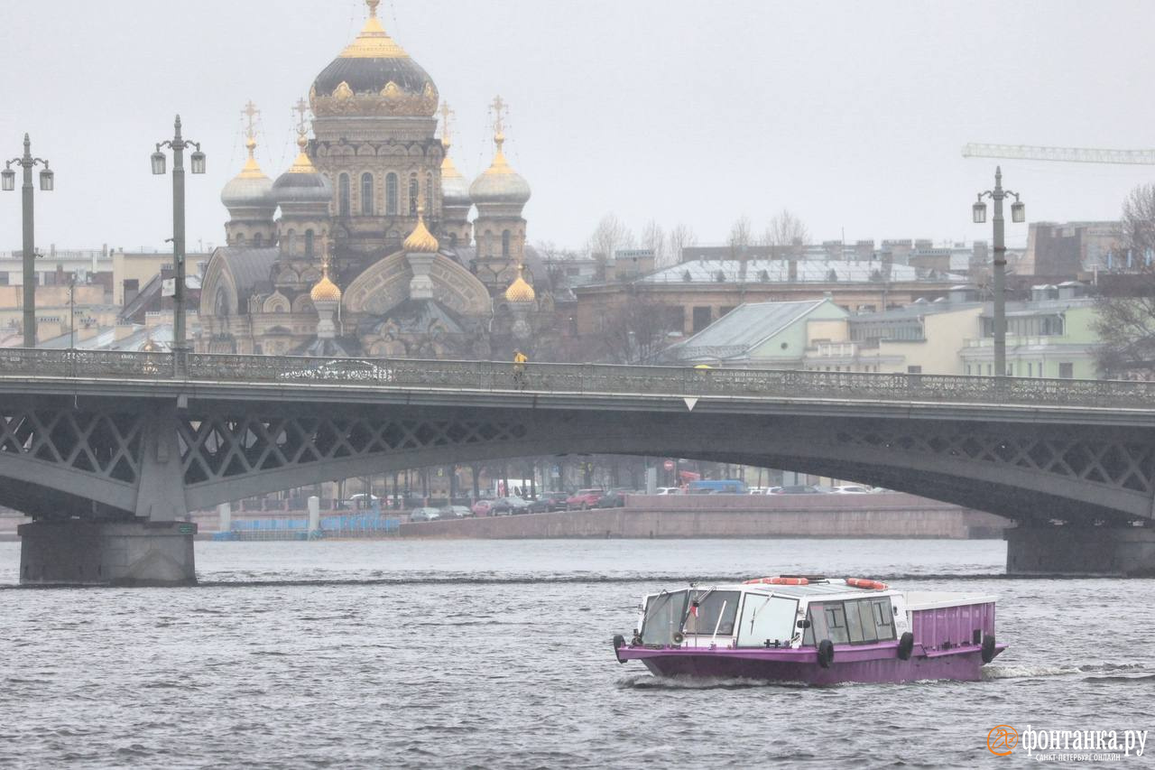 Весна в Петербурге притормозила. Пока только температура ниже нормы, а скоро — ещё и снег