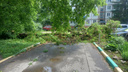 «Природа никого не щадит»: ураган повалил дерево на машину в Туле