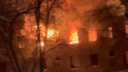 «В саду Мичуринцев»: пожар вспыхнул на улице Никитина — видео возгорания