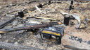Останки двух сибиряков нашли на базе отдыха на Алтае: мужчины погибли в пожаре