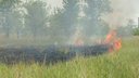 Осталось черное кострище: за Московским проспектом горела сухая трава. Пламя выедало поле