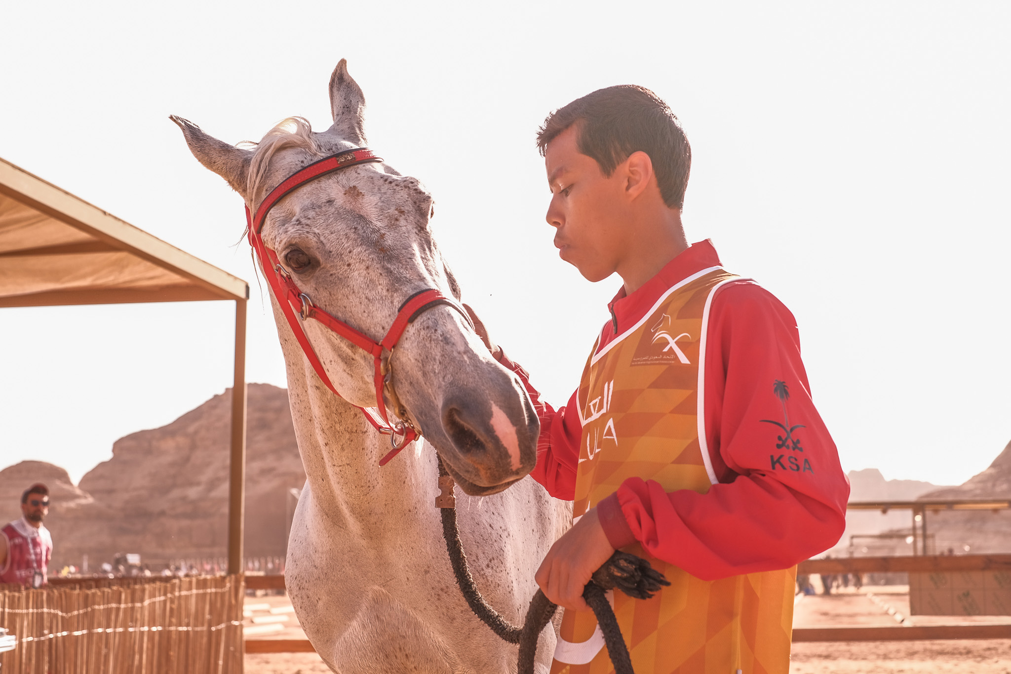 Любовь саудовцев к арабским лошадям глубоко укоренилась