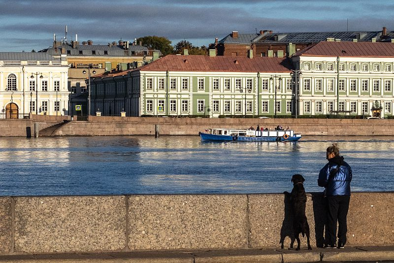 Урбанист расскажет, насколько Петербург дог-френдли