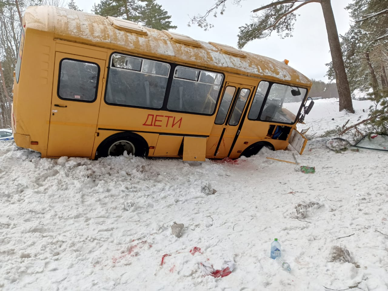 Фото: Подробности о состоянии пострадавших в ДТП со школьным автобусом в  Псковской области - 12 февраля 2024 - ФОНТАНКА.ру