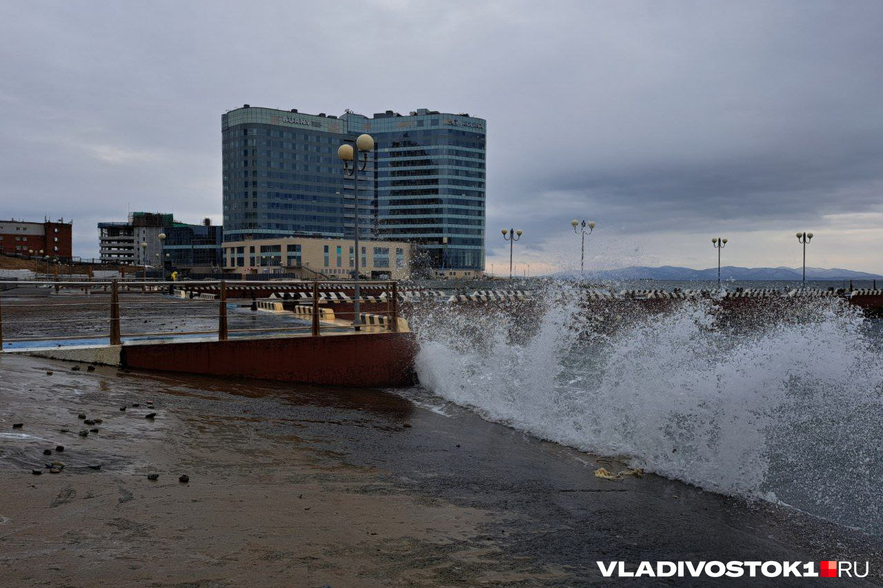 Владивосток 55