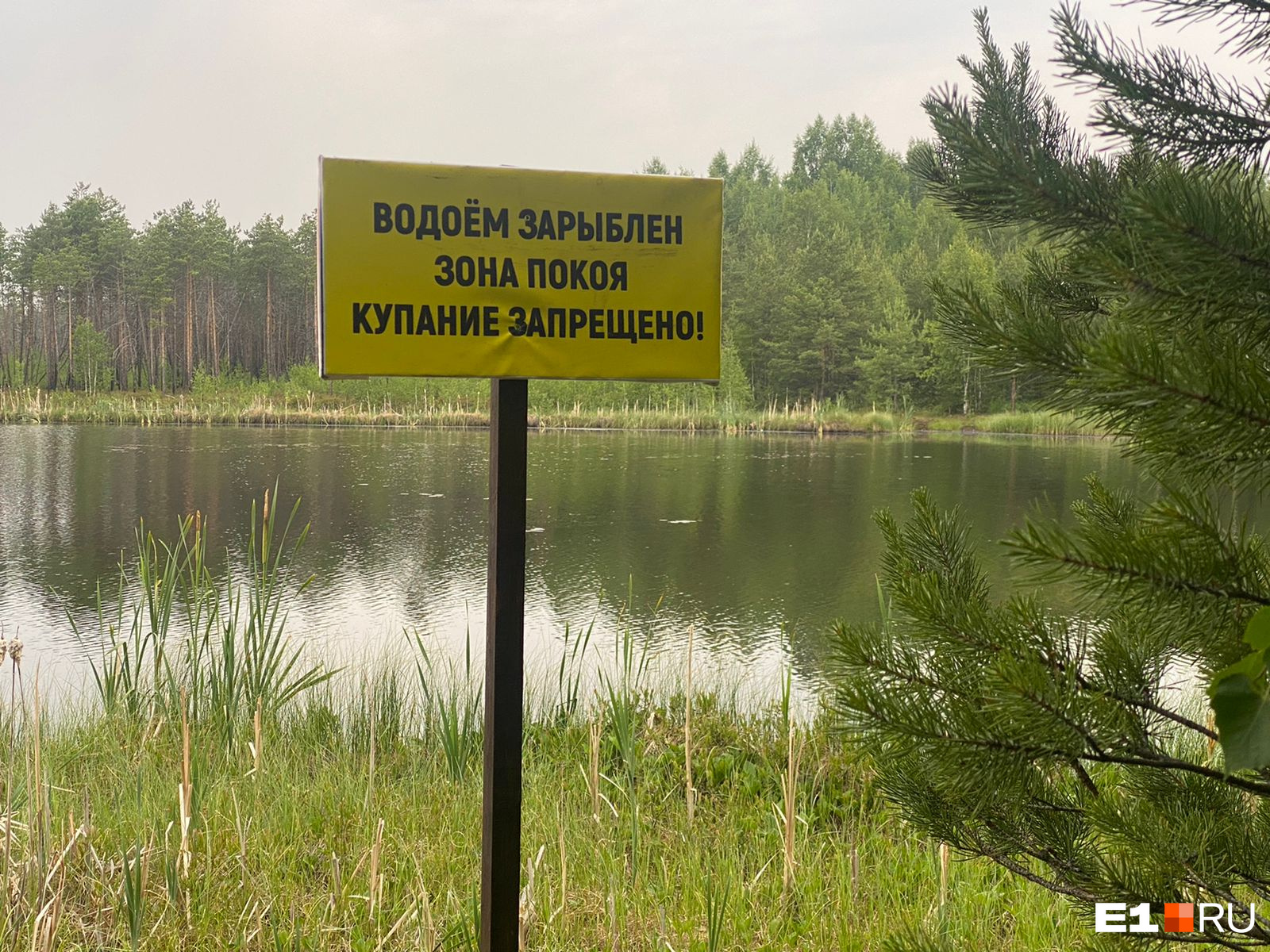 «Ты чего заблатовала, лошадь?» В Екатеринбурге дачникам запретили купаться в озере у поселка миллиардеров