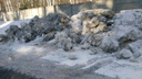 Новосибирца возмутила незаконная свалка снега и мусора в лесу за Заельцовским кладбищем
