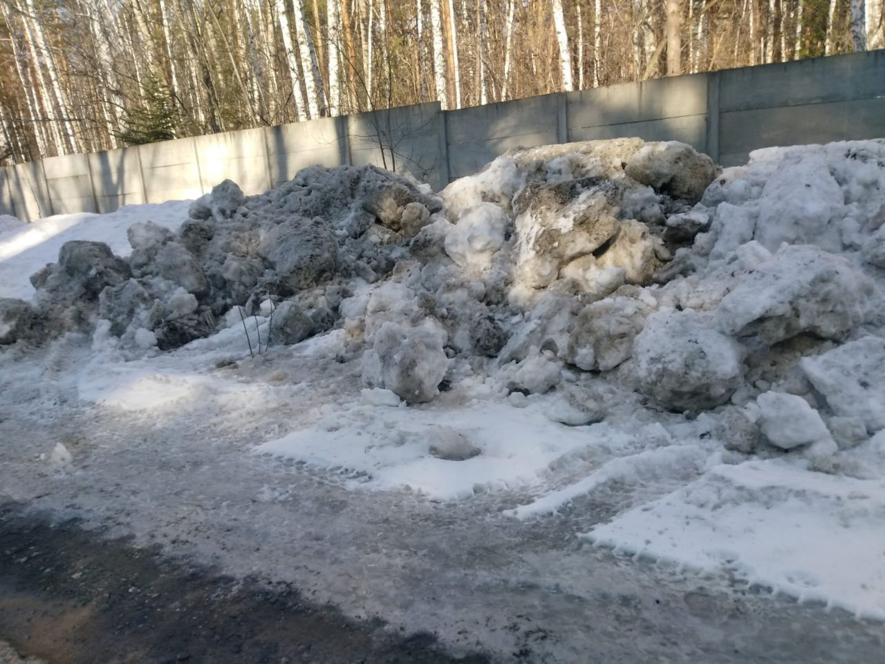 Мэрия Новосибирска организовала проверку после публикации НГС о незаконном снегоотвале