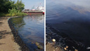 «Посмотрите, что происходит»: в Ярославле почернела Волга