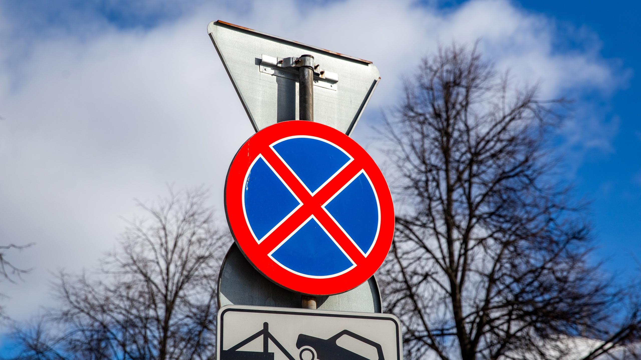 В Ярославле частично ограничат парковку на центральной улице