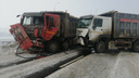 Водителя вытаскивали спасатели: в Самарской области лоб в лоб столкнулись две фуры