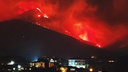 «Смотреть на всё это просто страшно»: видео мощного пожара в Геленджике