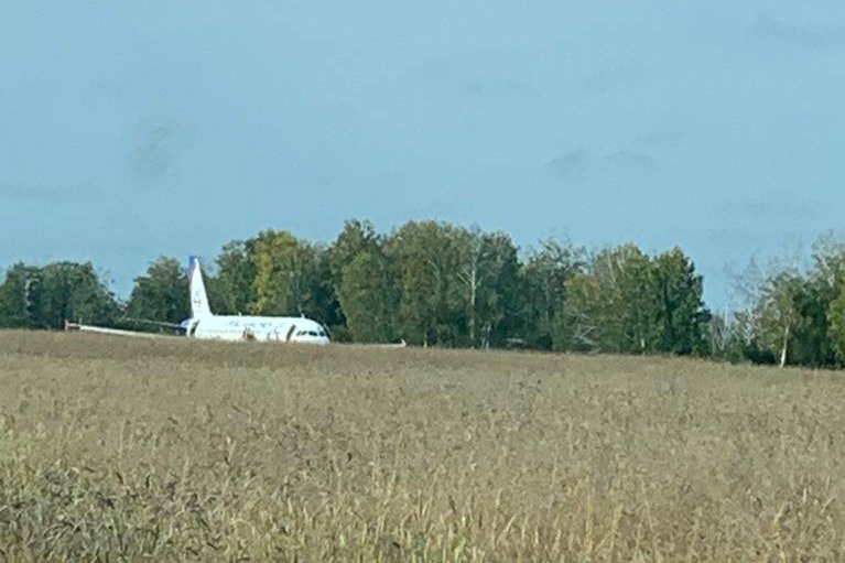 Самолет сел на грунт посреди поля с пшеницей