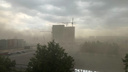 Шторм сносит Санкт-Петербург. Страшные видео: от ветра рухнул башенный кран, а деревья гнет до земли