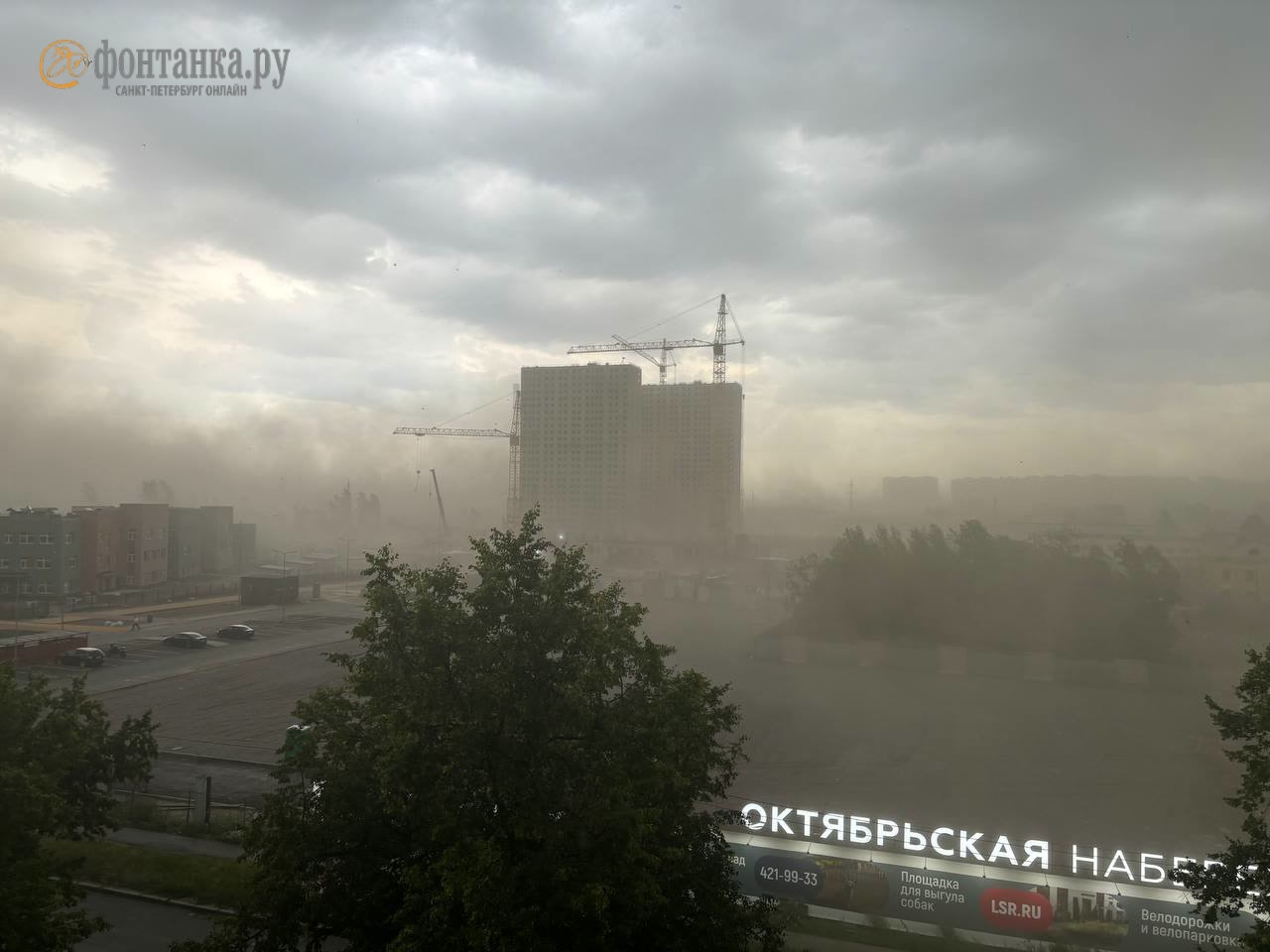 Шторм сносит Санкт-Петербург. Страшные видео: от ветра рухнул башенный кран, а деревья гнет до земли