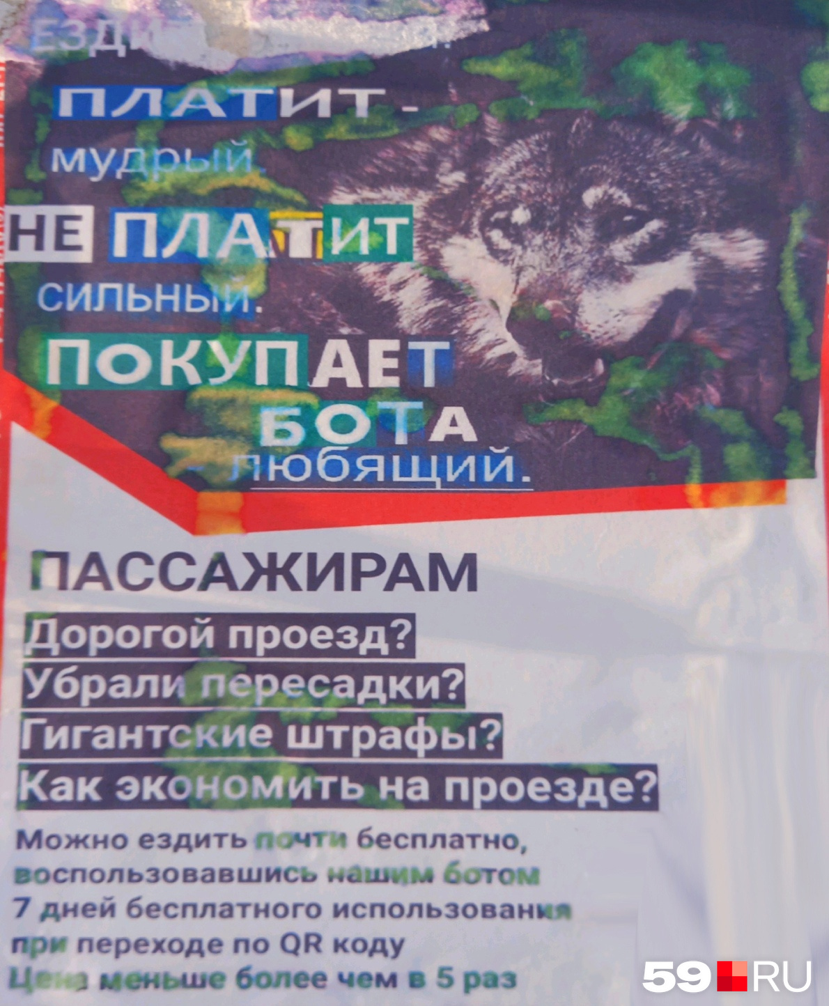 Так выглядит объявление на одной из остановок, адрес бота и куар-код мы убрали Так выглядит объявление на одной из остановок, адрес бота и куар-код мы убрали