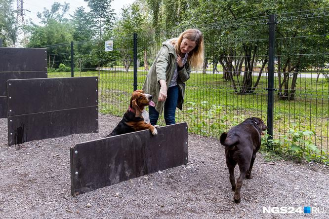 На правом берегу Красноярска открыли новую площадку для выгула собак