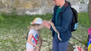 У змеи приезжего уличного фотографа, который работал на Кировке, нашли сальмонеллез