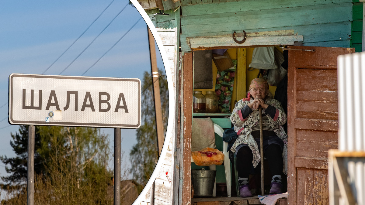 Смешные Названия: последние новости на сегодня, самые свежие сведения |  76.ру - новости Ярославля