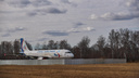 Ошибки в расчетах и проблемы с шасси: Росавиация — об итогах расследования посадки самолета в пшеничном поле под Новосибирском