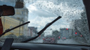 Гроза и сильный ветер: жителей Ярославской области предупредили об ухудшении погоды