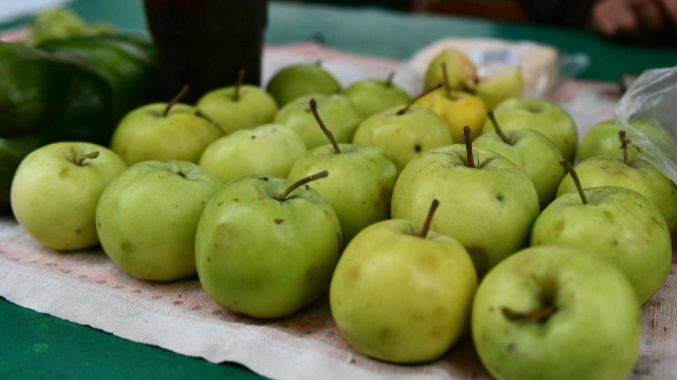 Избавляемся от урожая яблок: пять максимально простых (и вкусных) способов
