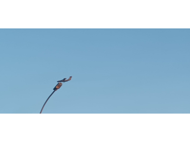 Странный самолет со спутниковой тарелкой на крыше заметили над ...