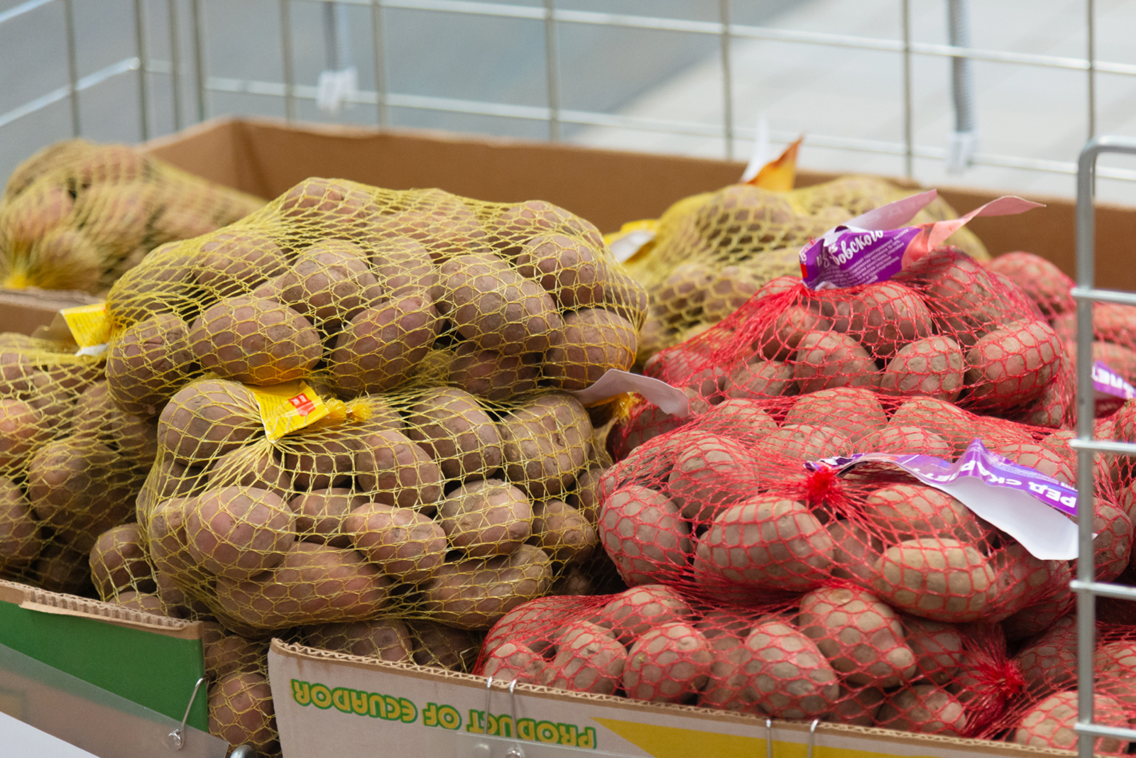 Все сорта картофеля хорошо хранятся и приспособлены к северному климату