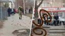 Двух мужчин с автоматами задержали у лицея в Ростовской области