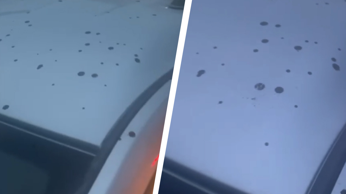 «Это чистый яд»: в Новосибирске автомобиль попал под дождь из расплавленного пластика — видео