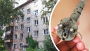 «Всё сгорело»: в Ярославле жильцы пятиэтажки лишились техники из-за скачка напряжения в розетках