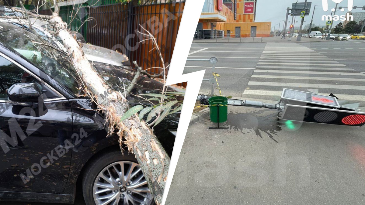 Помятые авто и придавленный светофором подросток: как осенний шторм с ливнем и шквалистым ветром накрыл Москву