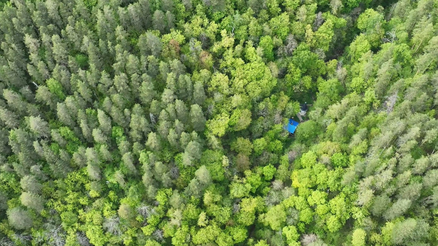Чудотворные источники в чаще леса: видеоблогер показал Каменную чашу с высоты птичьего полета