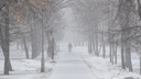 Мороз до -38 градусов или пять дней снегопада? Какой будет погода на январские праздники в Новосибирске