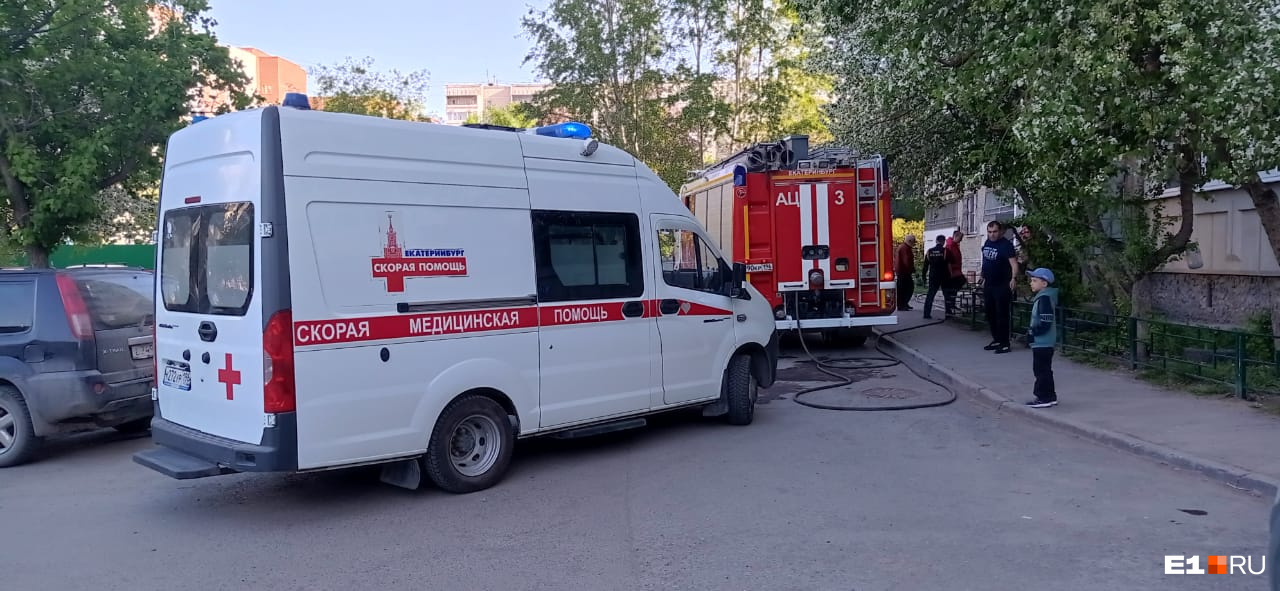 Во время пожара в Екатеринбурге погиб котик. Видео не для слабонервных