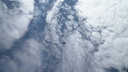 Красота в небе: в Северодвинске выступила пилотажная группа